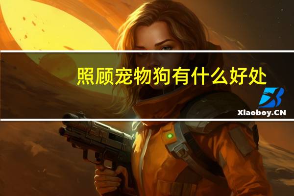 照顾宠物狗有什么好处
