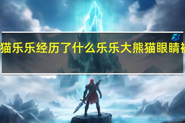 熊猫乐乐经历了什么 乐乐大熊猫眼睛被谁挖了
