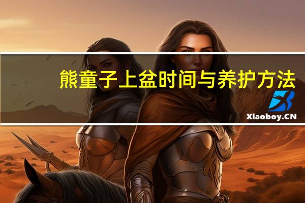熊童子上盆时间与养护方法