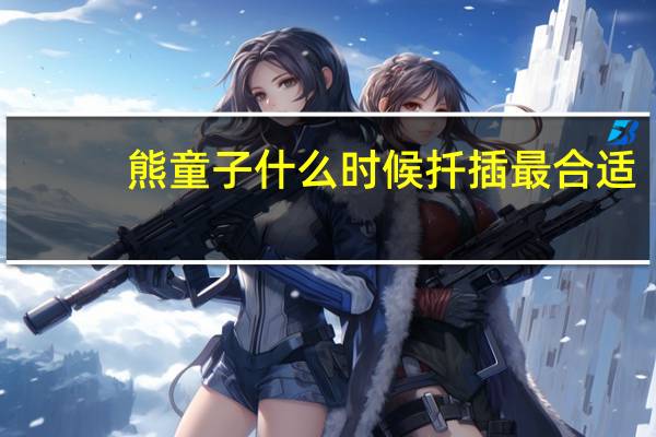 熊童子什么时候扦插最合适