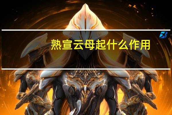 熟宣云母起什么作用