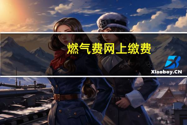 燃气费网上缴费（燃气费网上缴费）