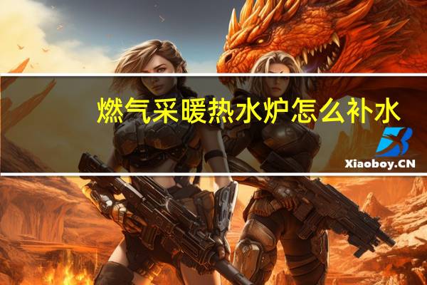 燃气采暖热水炉怎么补水