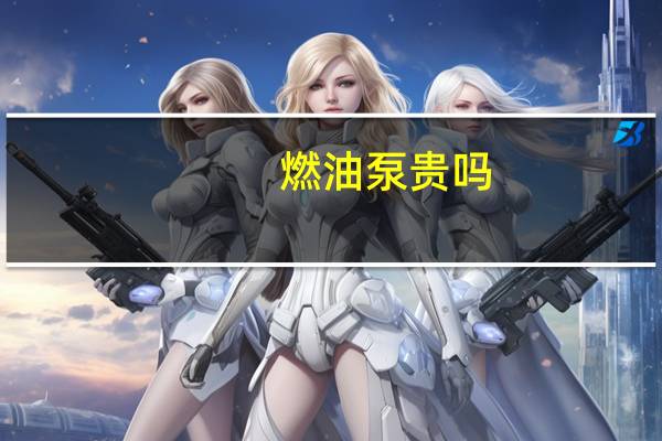 燃油泵贵吗