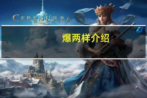 爆两样介绍