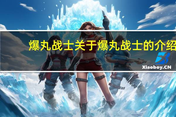 爆丸战士 关于爆丸战士的介绍