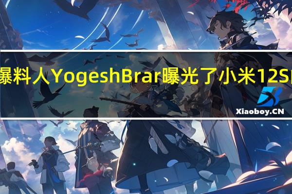 爆料人YogeshBrar曝光了小米12S的参数