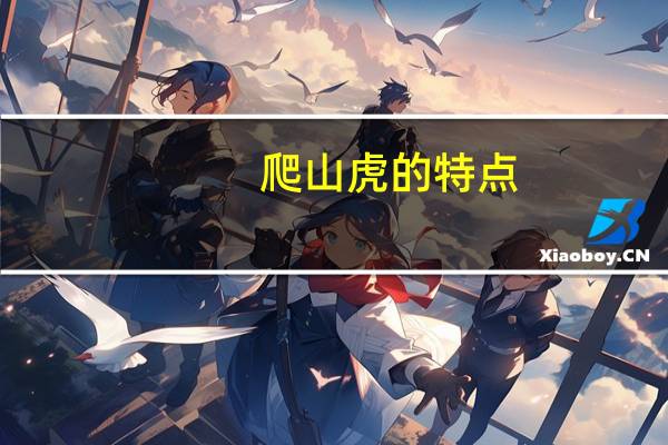 爬山虎的特点：多年生藤本植物