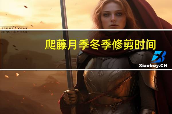 爬藤月季冬季修剪时间