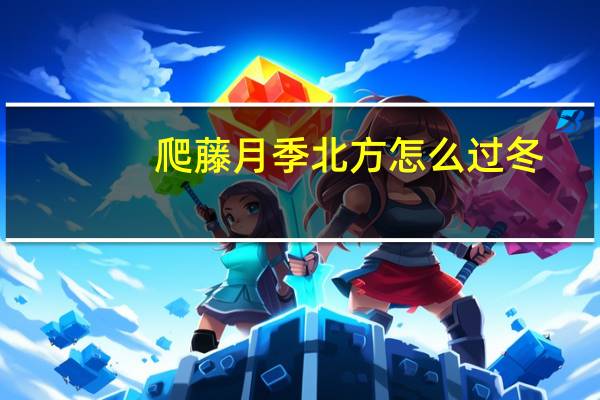 爬藤月季北方怎么过冬