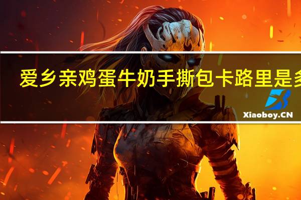 爱乡亲 鸡蛋牛奶手撕包卡路里是多少