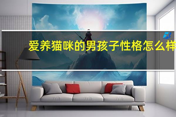 爱养猫咪的男孩子性格怎么样