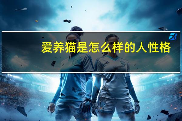 爱养猫是怎么样的人性格