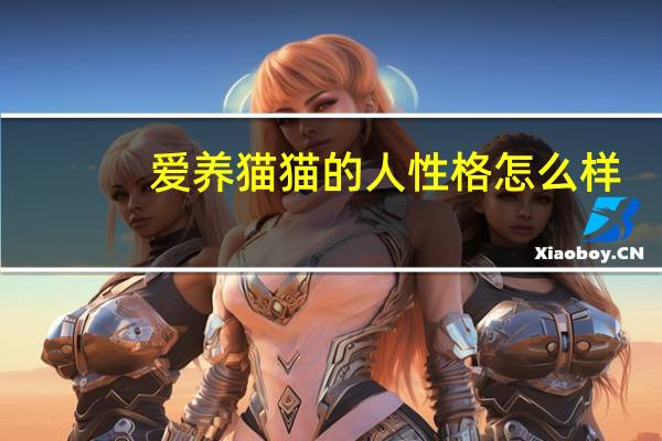 爱养猫猫的人性格怎么样