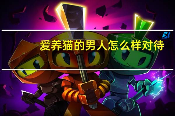 爱养猫的男人怎么样对待