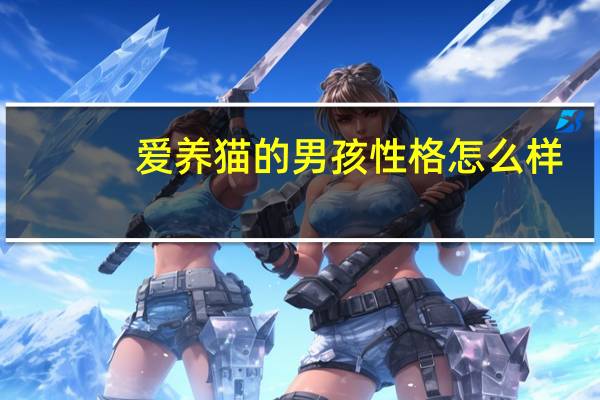 爱养猫的男孩性格怎么样