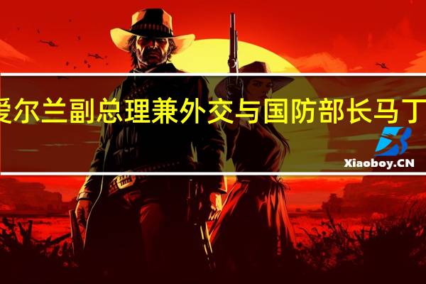爱尔兰副总理兼外交与国防部长马丁将访华