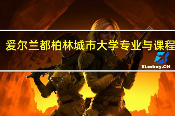 爱尔兰都柏林城市大学专业与课程设置