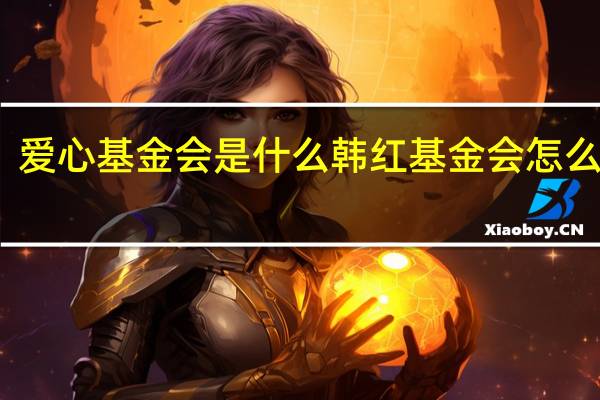 爱心基金会是什么 韩红基金会怎么捐款