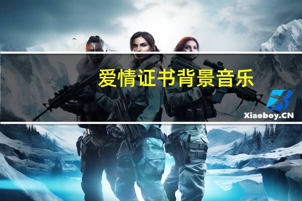 爱情证书背景音乐（爱情证书）