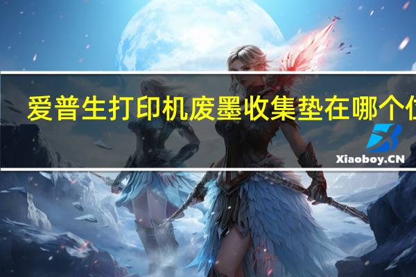 爱普生打印机废墨收集垫在哪个位置(爱普生打印机废墨收集垫在哪里)