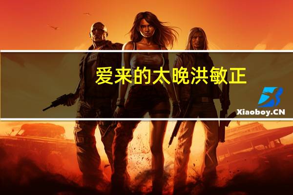 爱来的太晚 洪敏正（爱来的太晚）
