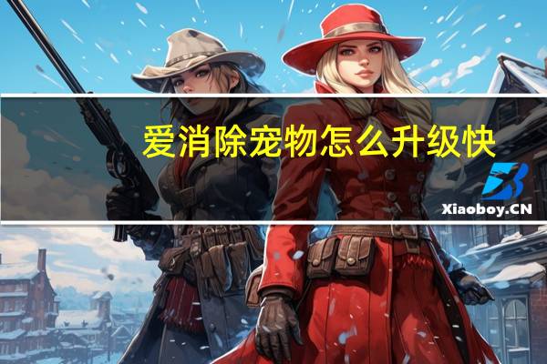 爱消除宠物怎么升级快