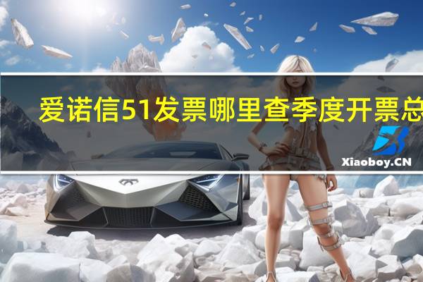 爱诺信51发票哪里查季度开票总额