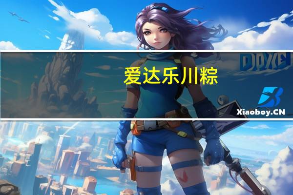 爱达乐 川粽(台湾龙腾福粽)卡路里是多少