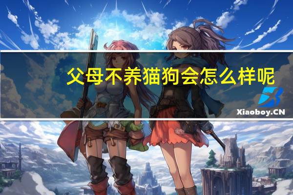 父母不养猫狗会怎么样呢