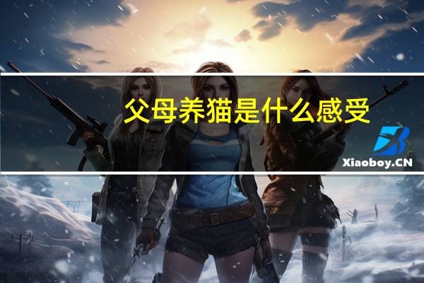父母养猫是什么感受