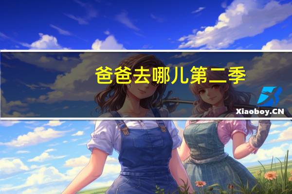 爸爸去哪儿第二季（爸）