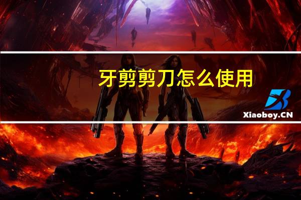 牙剪剪刀怎么使用,狗狗剪毛 狗与剪刀的正确使用方法