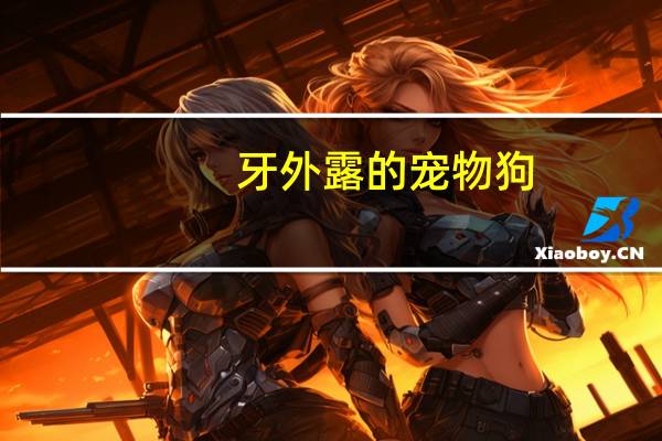 牙外露的宠物狗