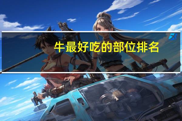 牛最好吃的部位排名