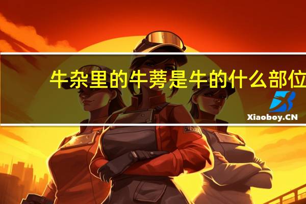 牛杂里的牛蒡是牛的什么部位。请大家帮一下