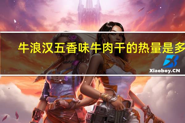 牛浪汉 五香味牛肉干的热量是多少