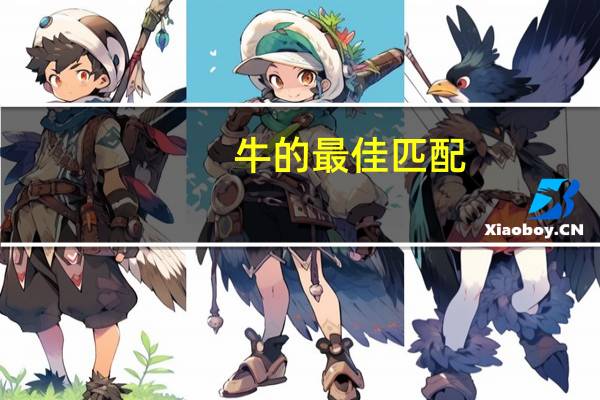 牛的最佳匹配（年底总结ppt前言）
