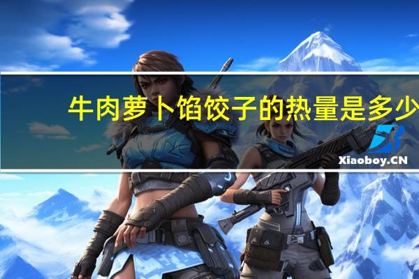 牛肉萝卜馅饺子的热量是多少