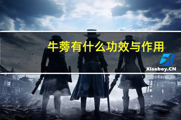 牛蒡有什么功效与作用（牛蒡有什么功效和作用）
