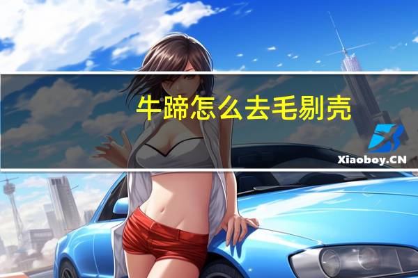 牛蹄怎么去毛剔壳