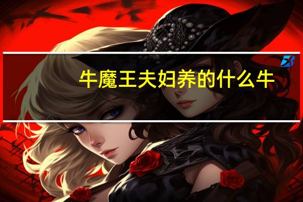 牛魔王夫妇养的什么牛
