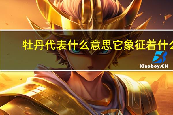 牡丹代表什么意思它象征着什么