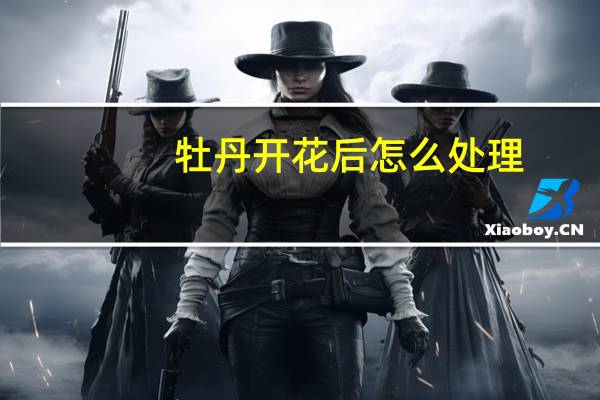 牡丹开花后怎么处理