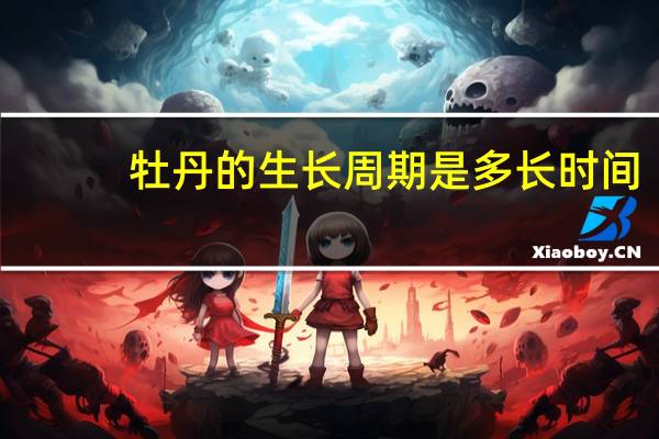 牡丹的生长周期是多长时间