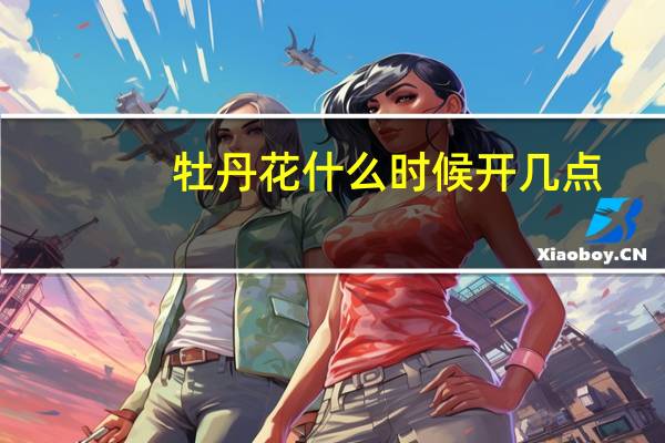 牡丹花什么时候开几点