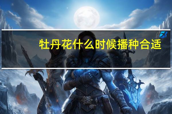 牡丹花什么时候播种合适