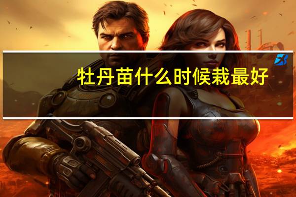 牡丹苗什么时候栽最好