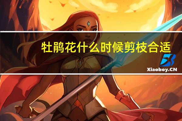 牡鹃花什么时候剪枝合适