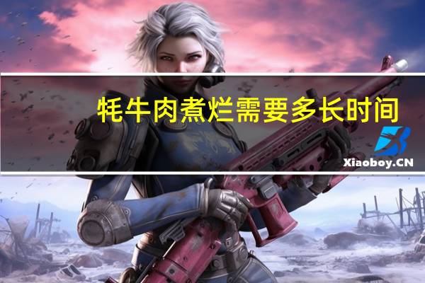 牦牛肉煮烂需要多长时间
